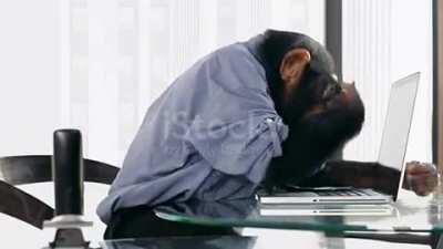 Me trying to figure out what cause that spike on AH...