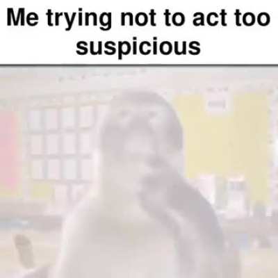 There are no laws against spirit beasts fellow Daoist.