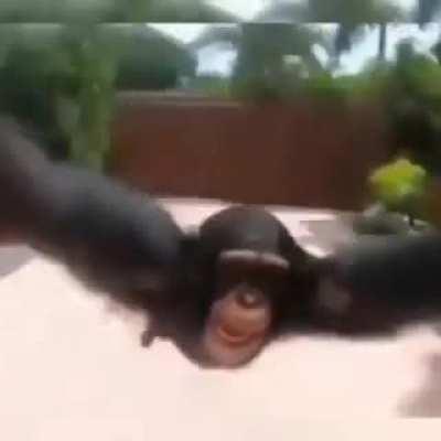 I swear to god it is not porn