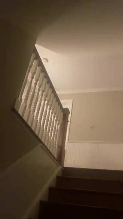 This place I’ve been staying at has been doing weird things. I keep wondering how the dogs go in and out while all the doors are closed. Not one door stays shut. The flickering lights in the vid, not sure what that static is either. Anyone?