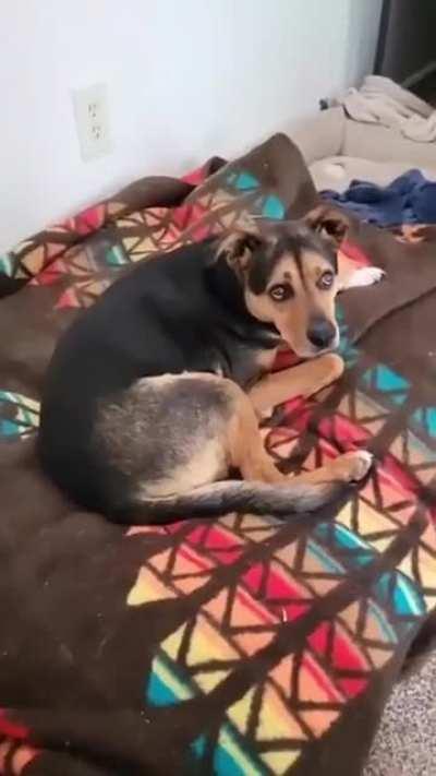 Had me in the first half