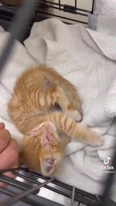 We need more people like this.