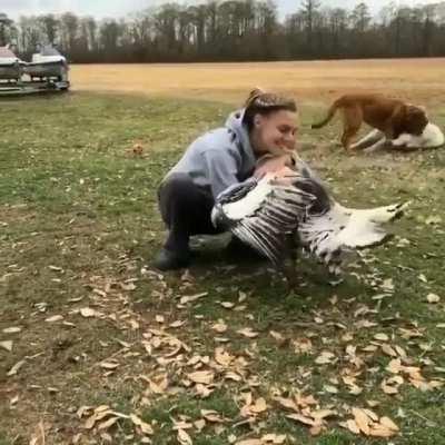 Who knew turkeys gave such great hugs?