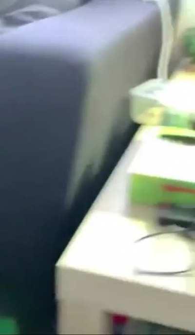 Lizard Friendly Porn