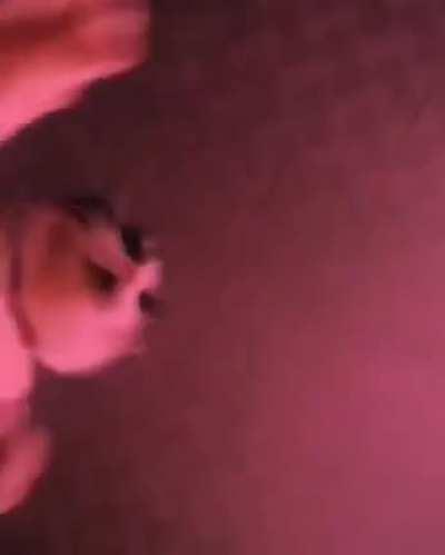 I desperately need videos like this it's important I swear