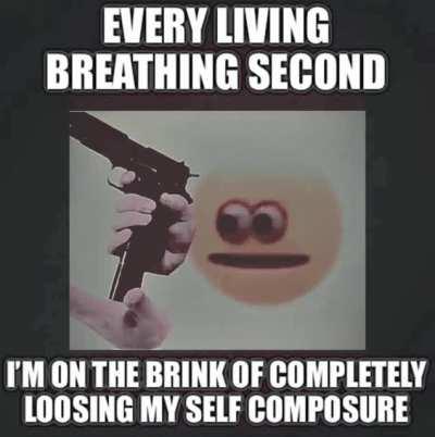 The perfect representation of what goes on in my head.