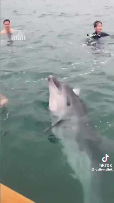 What would have been your reaction