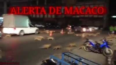 familia de danyel sena 😲😲😲😳⚠⚠⚠☣