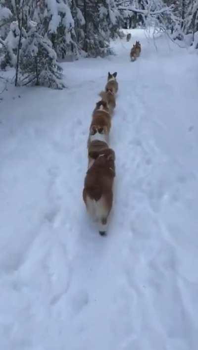 They keep looking back 😄