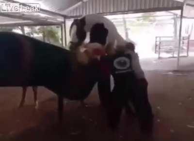 Never stand between a horny dude ant his target.