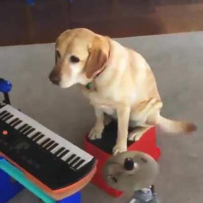 This Golden’s first single drops Saturday called “Pawfectly Good Jazz” on the WetHydrant record label.