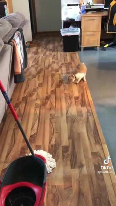 Wet floor is not his friend