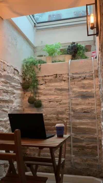 A nook in my air bnb with a skylight. I’ll be here all day tyvm.