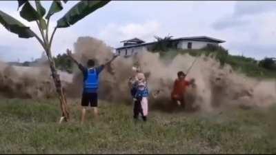 Just a guy punching a Palm tree