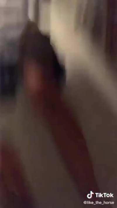 A cinematic masterpiece