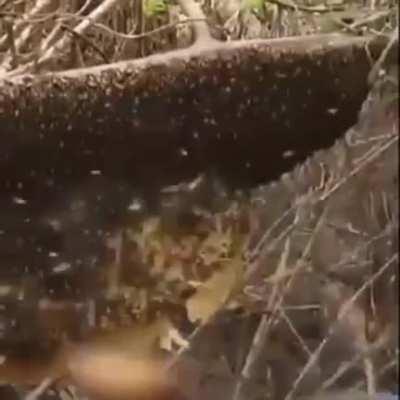 На что ты, интересно, рассчитывал?!