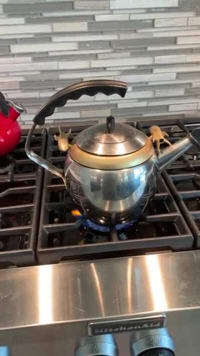 Kettle from the sixties - the rocket ships spin from the steam it generates when the water is boiling.