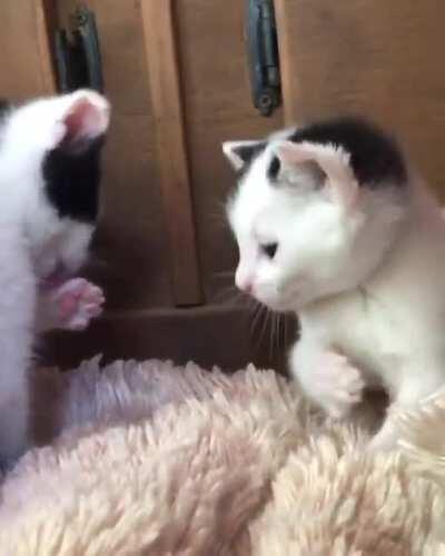 *awkwardly touches face*