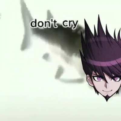 Don't. Cry. Kaito's just a FISH