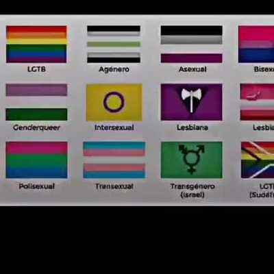 whats ur fav gender?