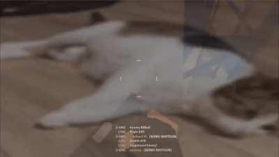 Accelerant got me like: (Video by MilkSpill) (Use headphones for better experience why because the song is fire)