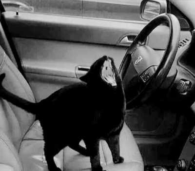 Will this improve the game??