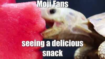 Fans Explaining - Part II: Flank Edition