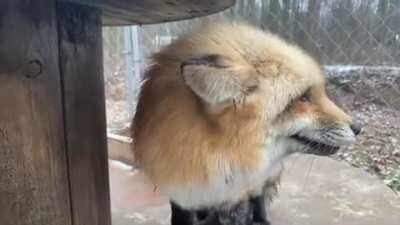 Ruby's back to vent to you all!