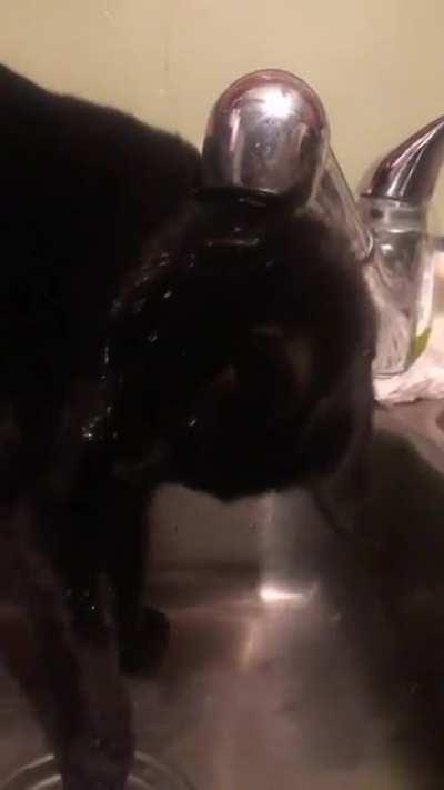 He’s trying so hard to be a hydro homie