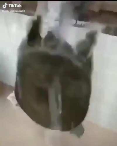 No one: Lucas's tether recovery: