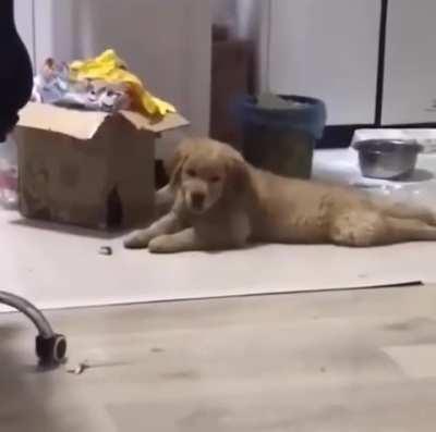 Me Turning Up At The Club