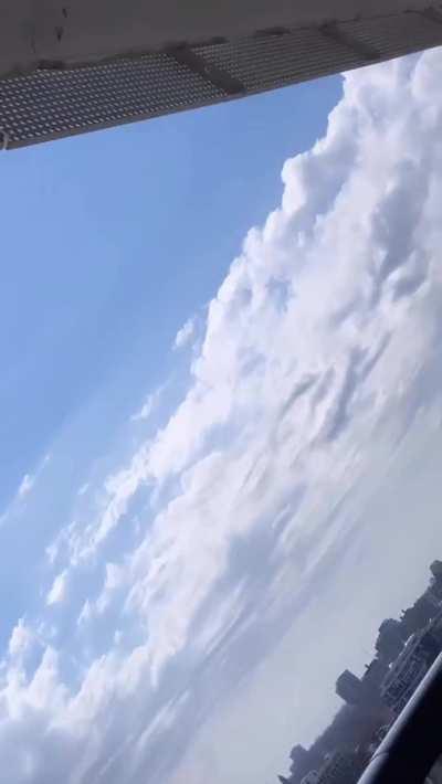 Quick peek from jade