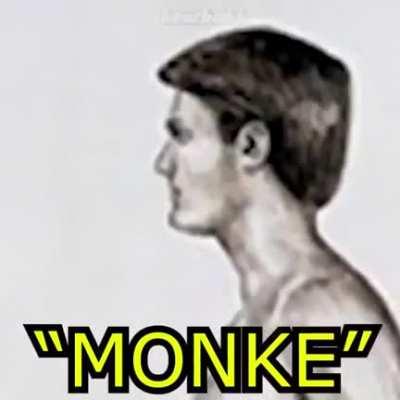 Go Back I Want To Be Monke