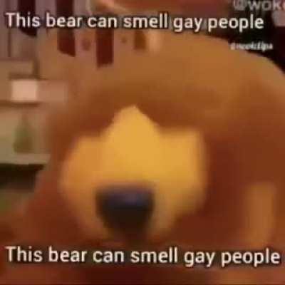 Hahahhahahahahhabaahahha GAY PEOPLES!!!😳😳😳😂😂😂😂😹😹😹🤣🤣