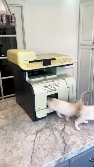 I would buy a printer like this