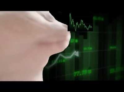 Last 24 hours in the ethersphere