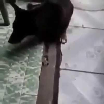 Luangameplay666 - Video #3253