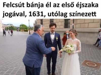MTA által hitelesítve