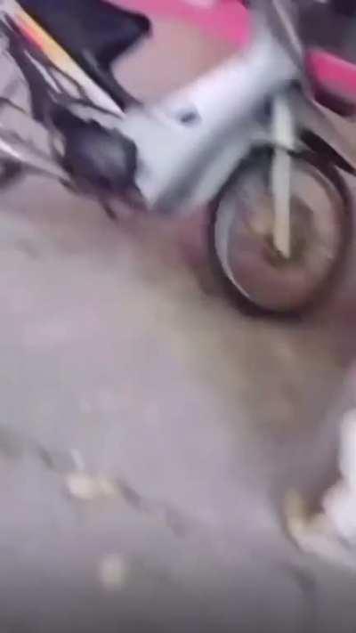 Chasing a komodo dragon