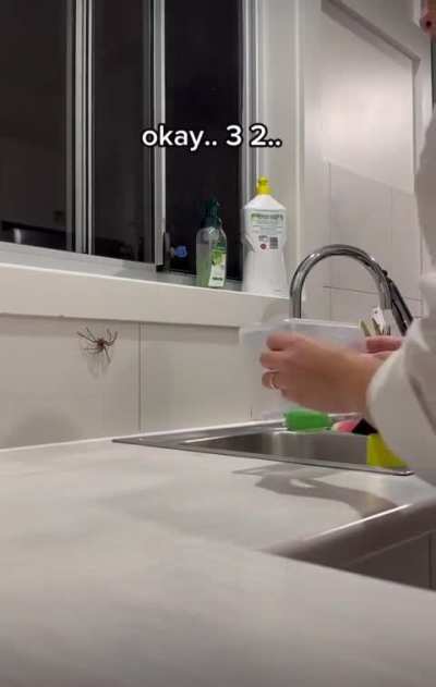 Nope, I’d burn the house down…