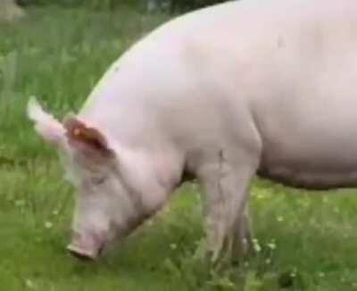 TU MAMA 😈😖🤭🤫😏