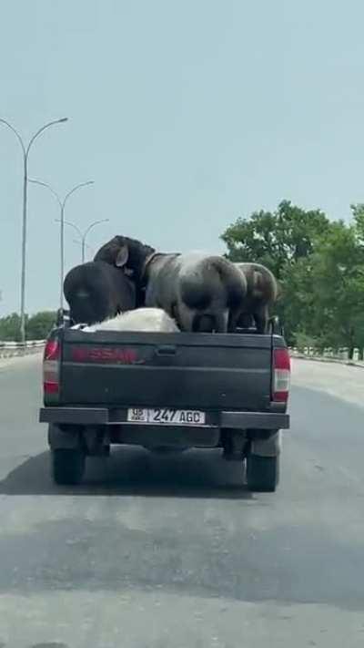 Meet the Kardashians