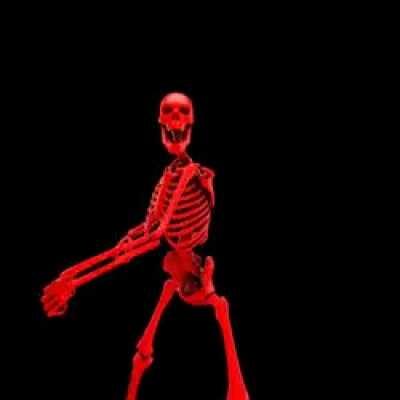 el esqueleto de la alerta de follow te agarra a trompadas