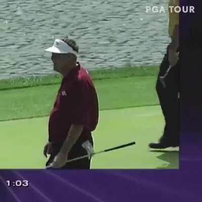 when a bird steals your golf ball