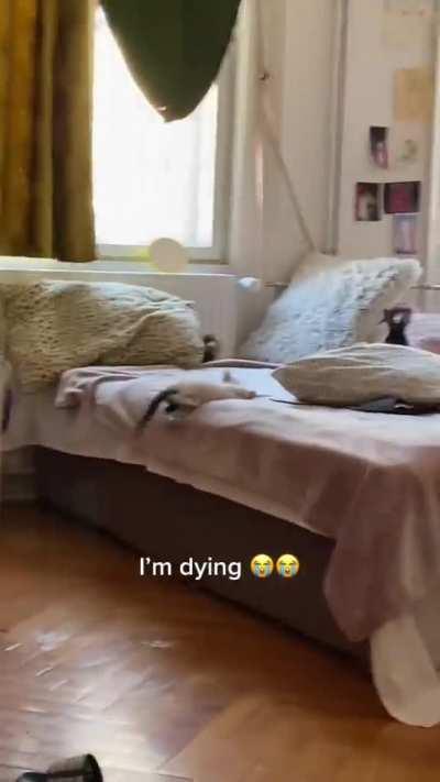 Two little cuties playing.