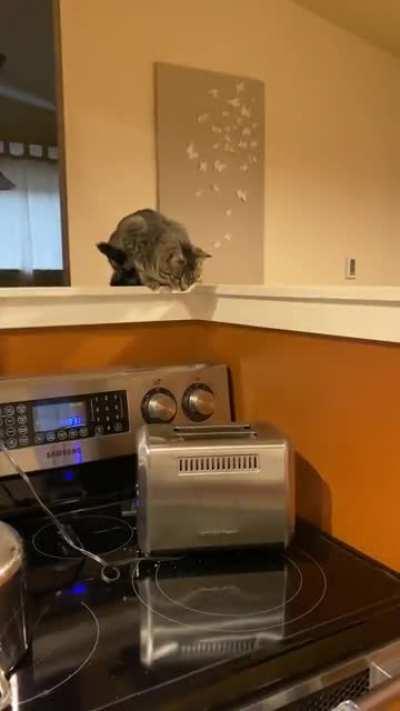 This toast is taking a whi…