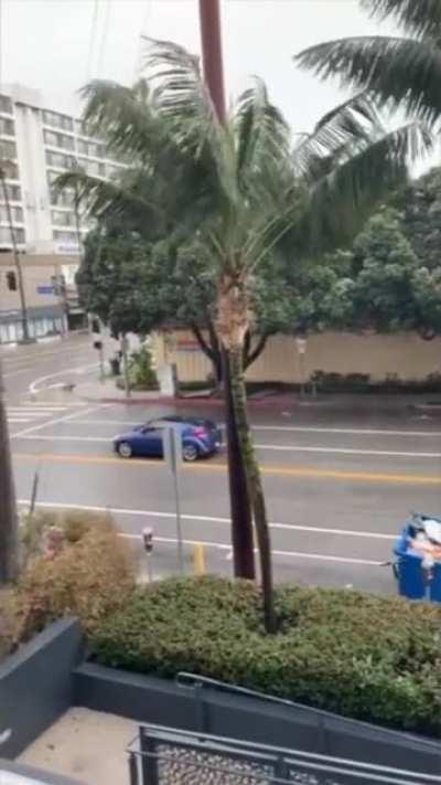 WCGW letting go of these balloons