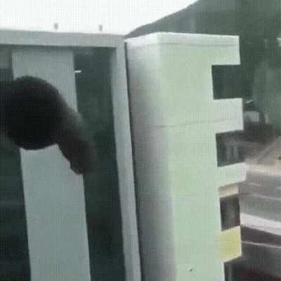 Dickshooter- does nothing, just shoots a dildo