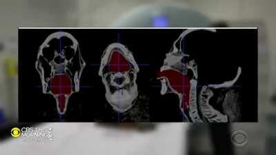 Scientists recreate mummy's voice