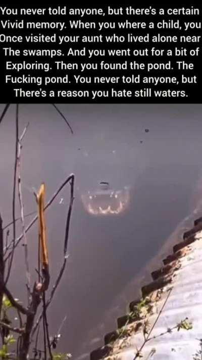 And the birds stopped chirping